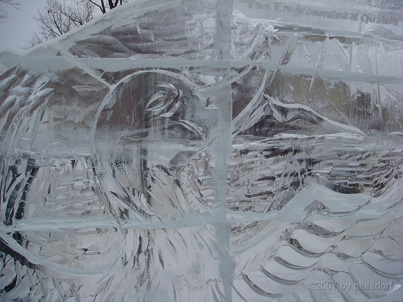 049 Plymouth Ice Show [2008 Jan 26].JPG - Scenes from the Plymouth, Michigan Annual Ice Show.